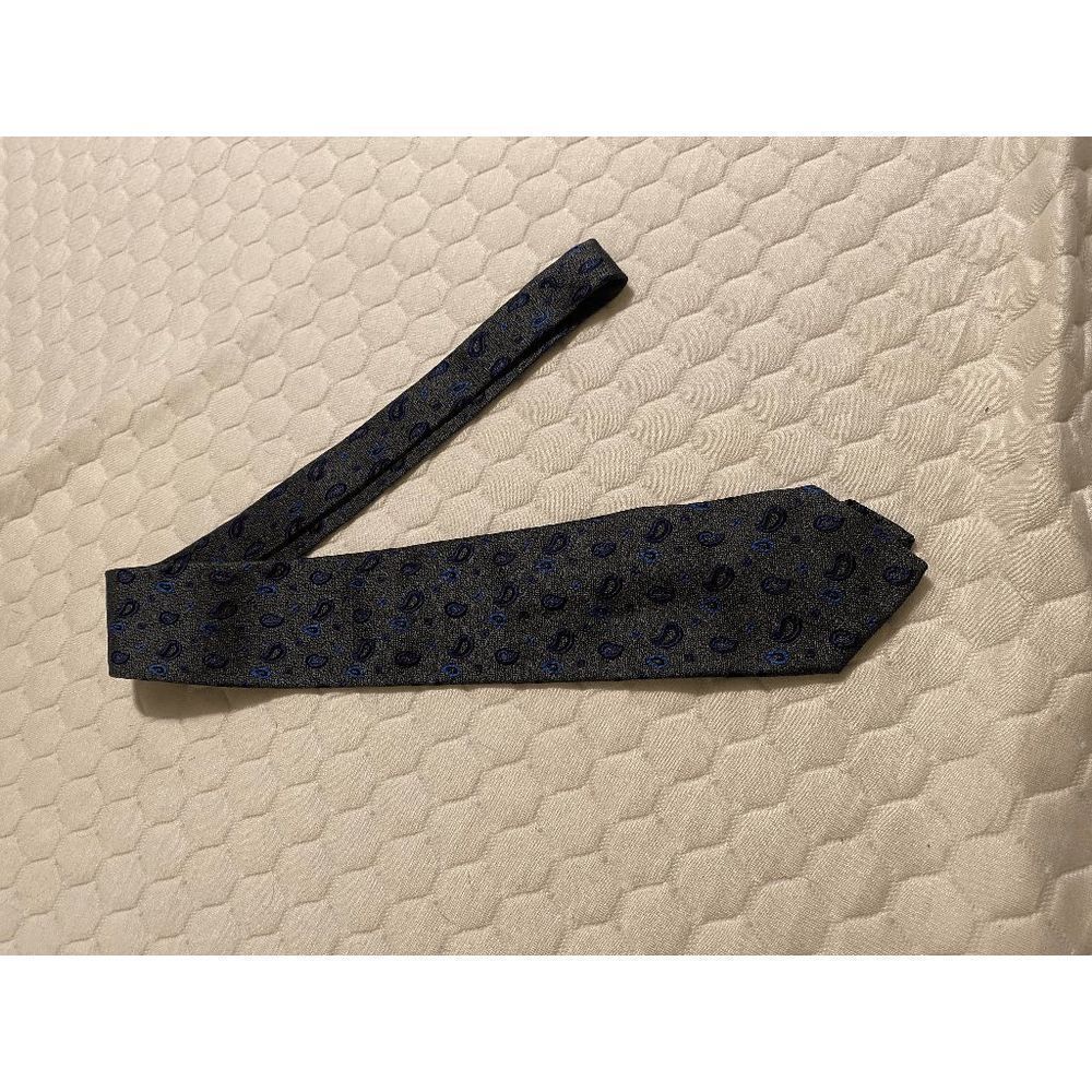 Tino Cosma ☀️ Men Paisley Silk Tie Gray